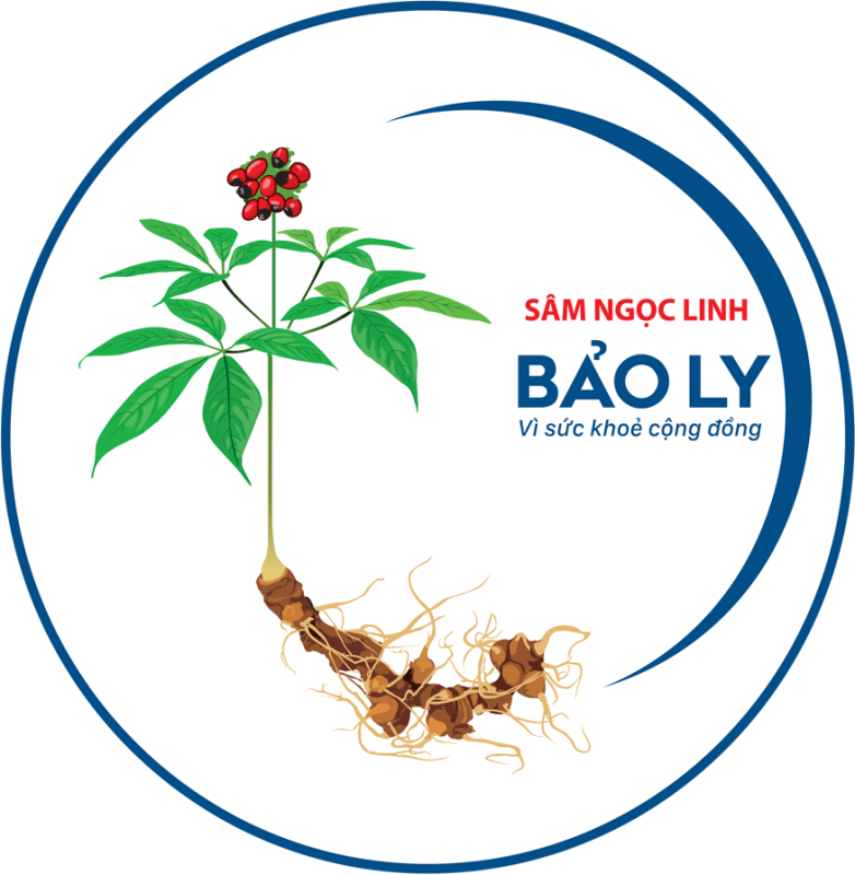 Sâm Ngọc Linh Bảo Ly